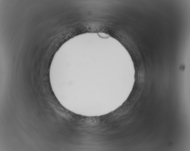 X0000115240865200912111052