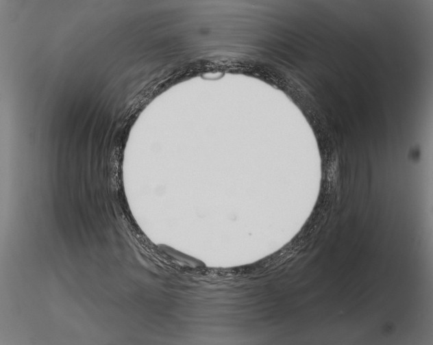 X0000115240868200912111052