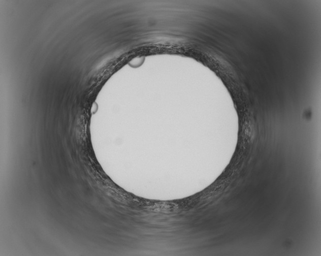 X0000115240869200912111052