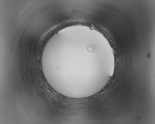 X0000115240872200912111052