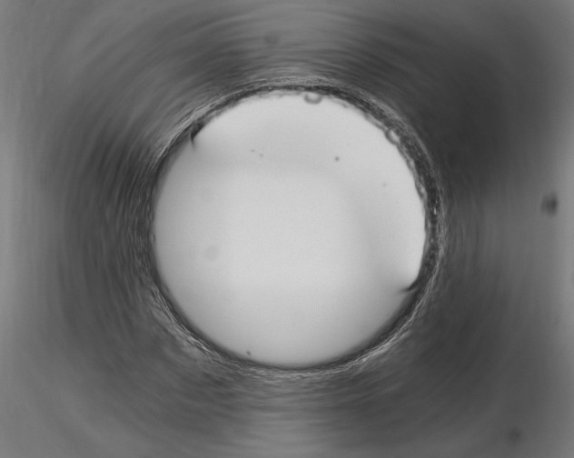 X0000115240873200912111052