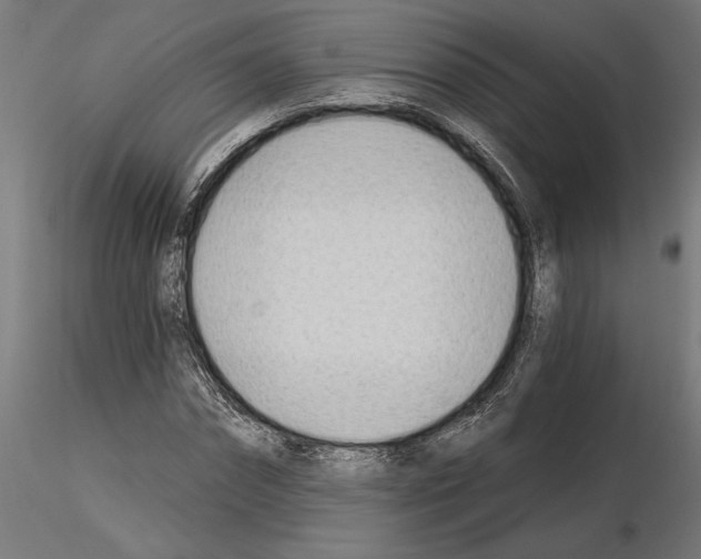 X0000115240874200912111052