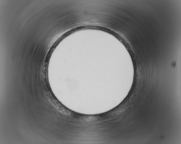 X0000115240879200912111052