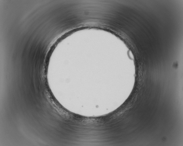 X0000115240880200912111052