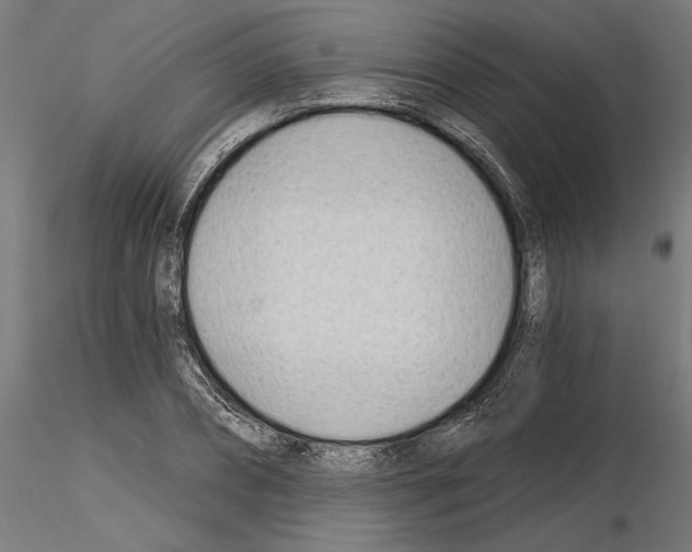 X0000115240882200912111052