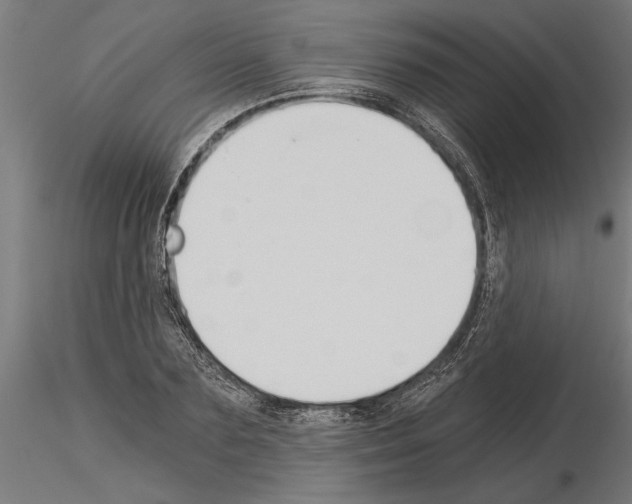 X0000115240883200912111052