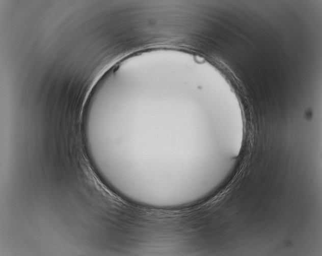 X0000115240884200912111052