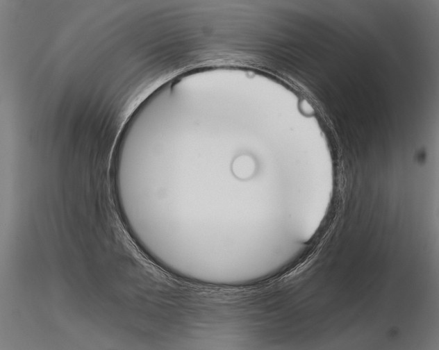 X0000115240885200912111052