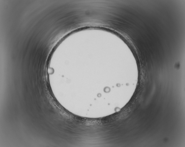 X0000115240887200912111052