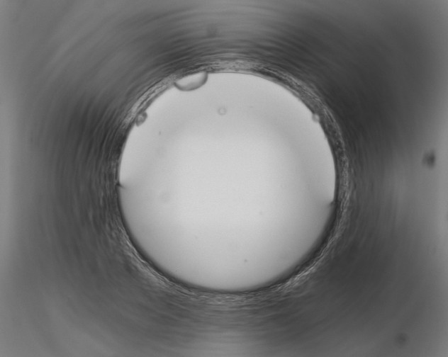 X0000115240889200912111052