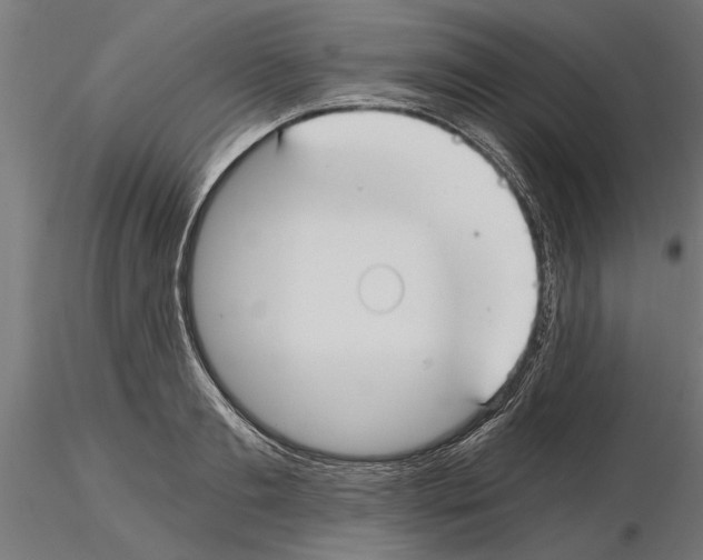 X0000115240893200912111052