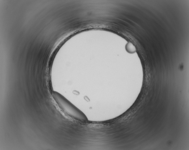 X0000115240894200912111052