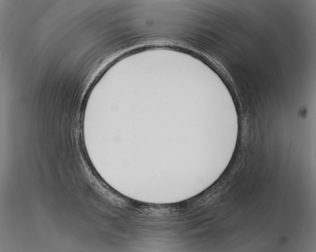 X0000115240895200912111052