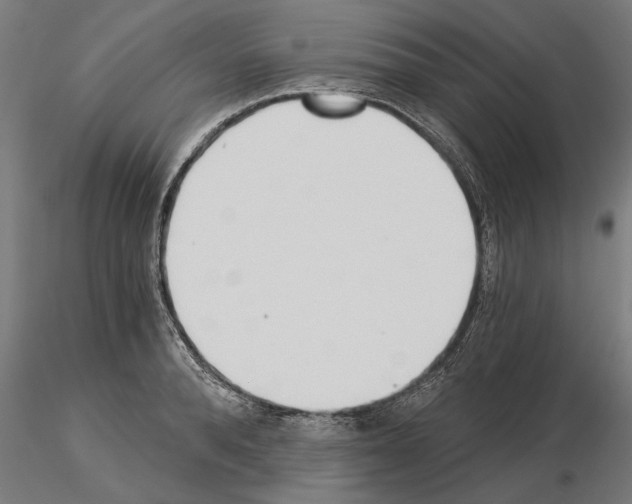 X0000115240896200912111052