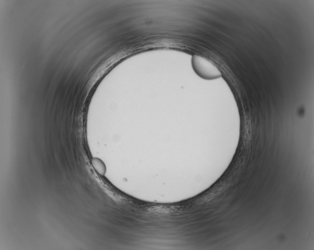 X0000115240898200912111052