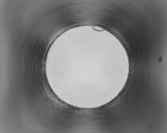 X0000115240900200912111052