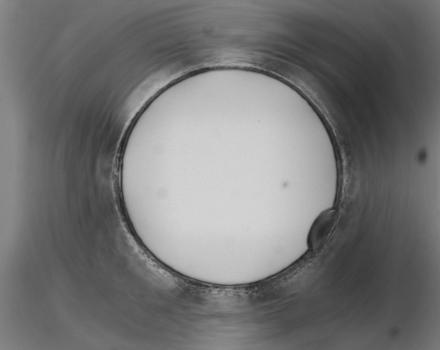 X0000115240901200912111052