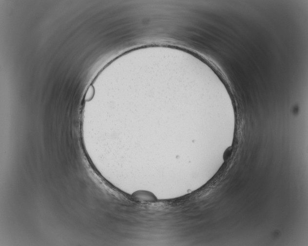 X0000115240903200912111051