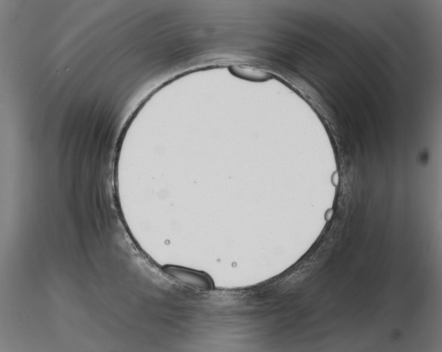 X0000115240904200912111051