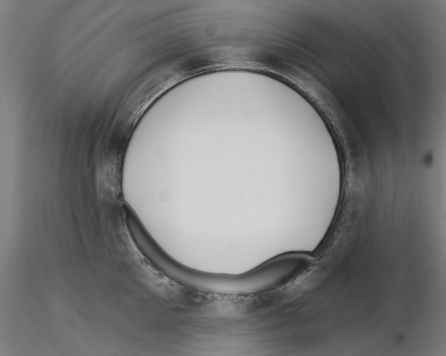 X0000115240905200912111051