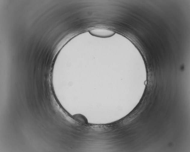 X0000115240906200912111051