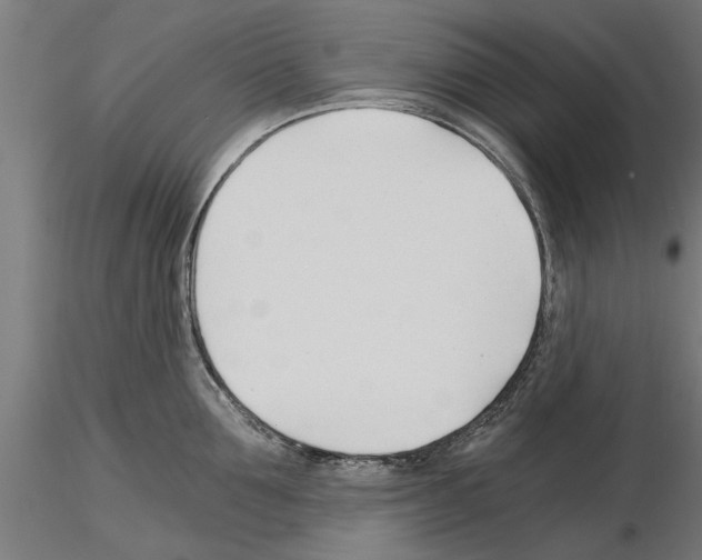 X0000115240907200912111051