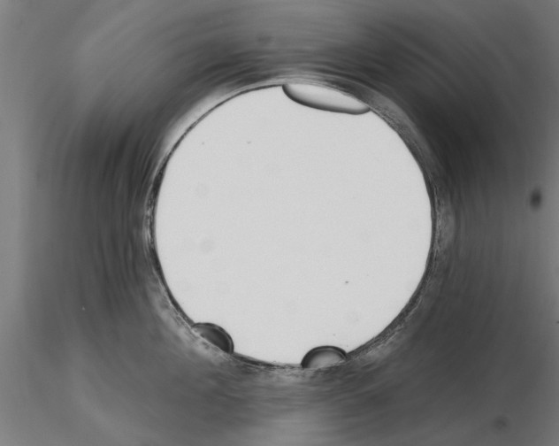 X0000115240908200912111051