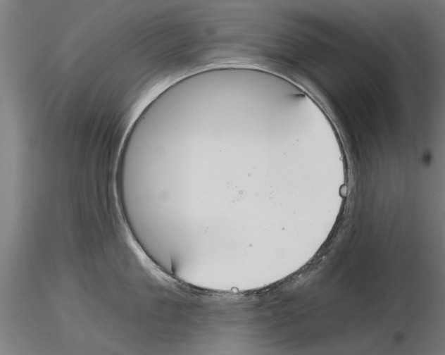 X0000115240909200912111051