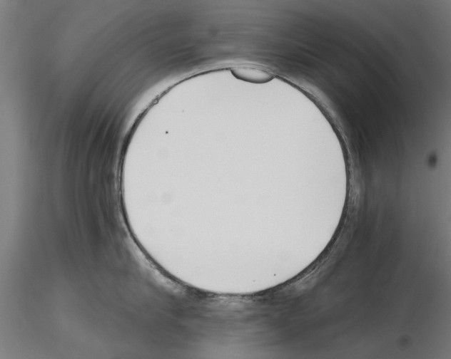 X0000115240910200912111051