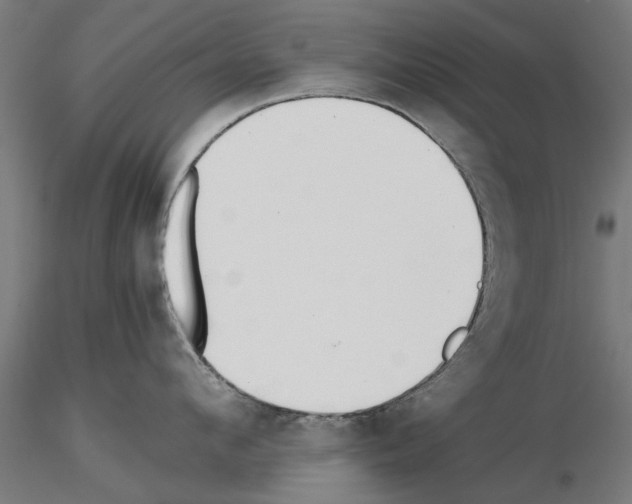 X0000115240912200912111051