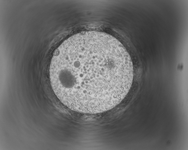 X0000115240913200912111051