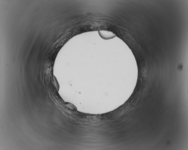 X0000115240914200912111051