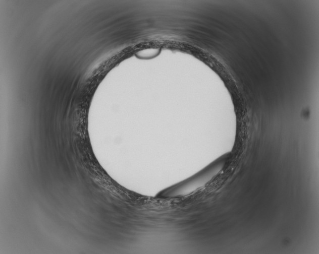 X0000115240919200912111051