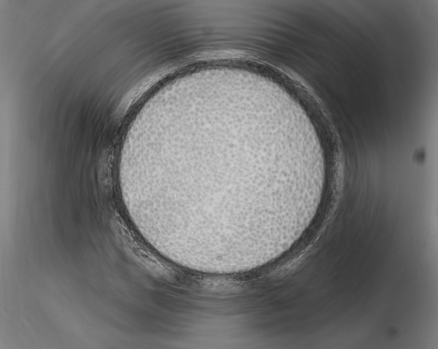 X0000115240921200912111051