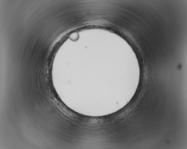 X0000115240923200912111051