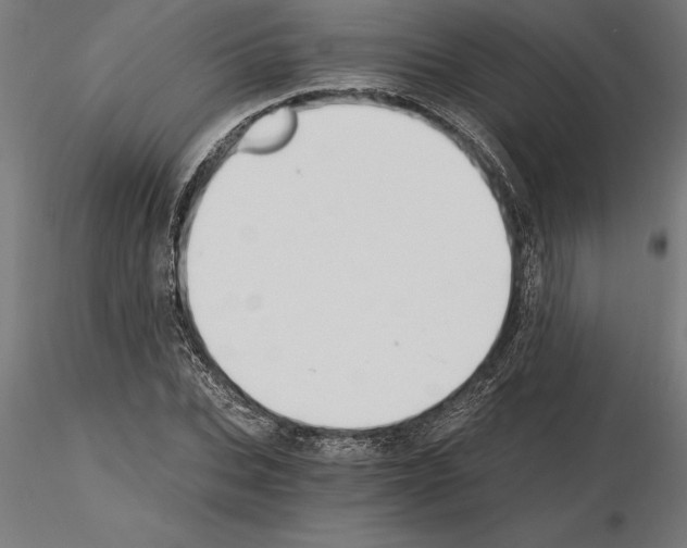 X0000115240927200912111051