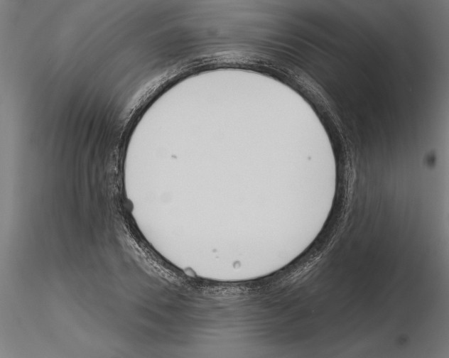 X0000115240930200912111051