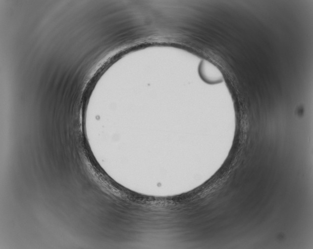 X0000115240934200912111051