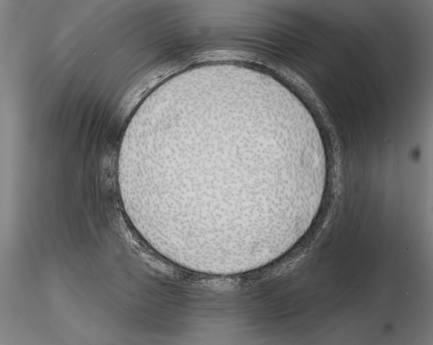 X0000115240937200912111051