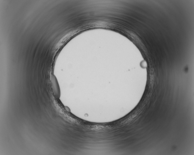 X0000115240938200912111051