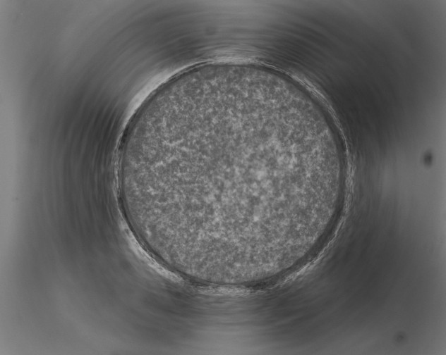 X0000115240941200912111051