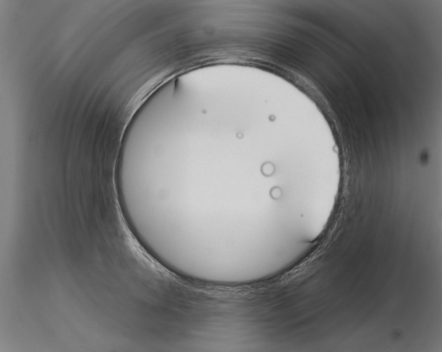 X0000115240946200912111051