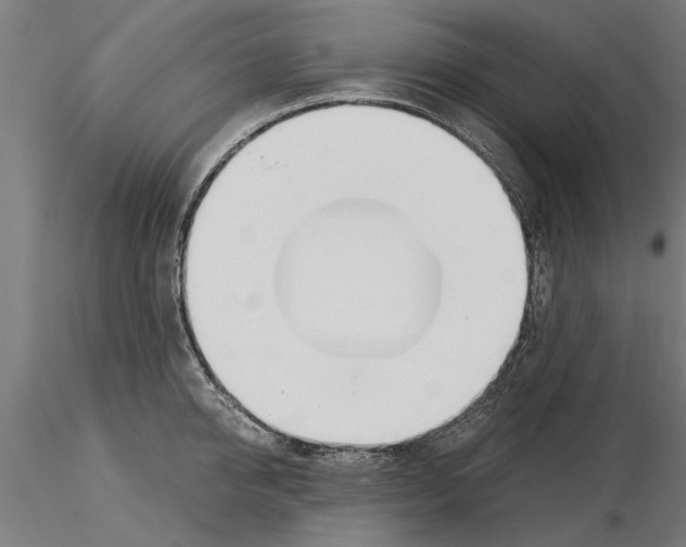 X0000115240950200912111051