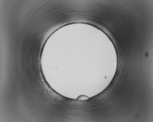 X0000115240951200912111051