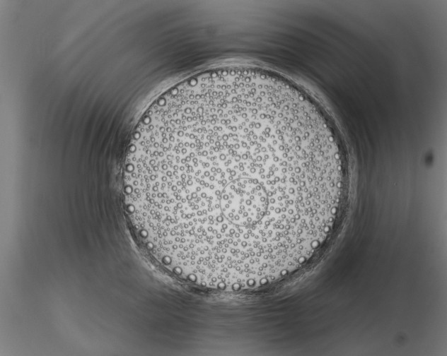 X0000115240953200912111051