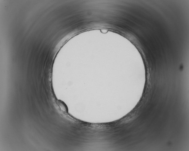 X0000115240954200912111051