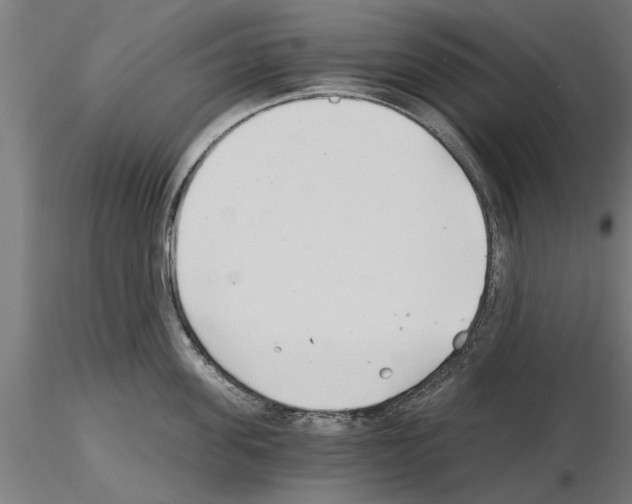 X0000115240955200912111051