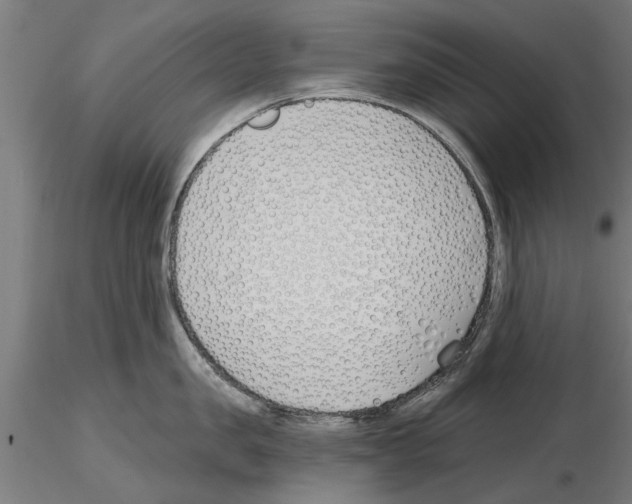 X0000115240957200912111051