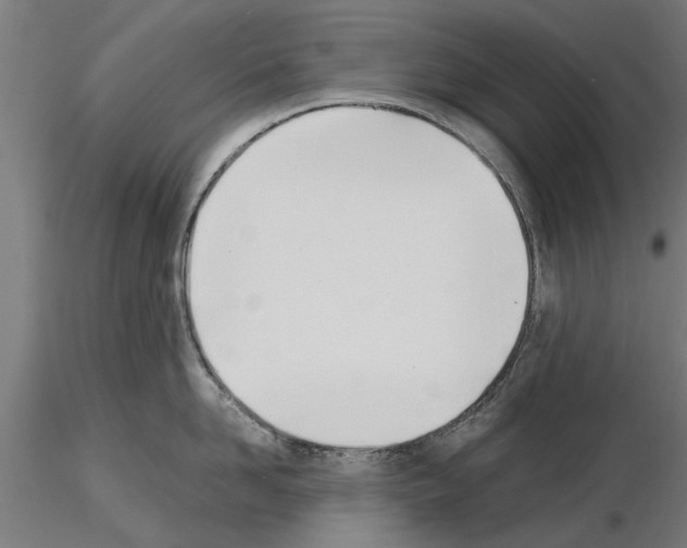 X0000115240958200912111051