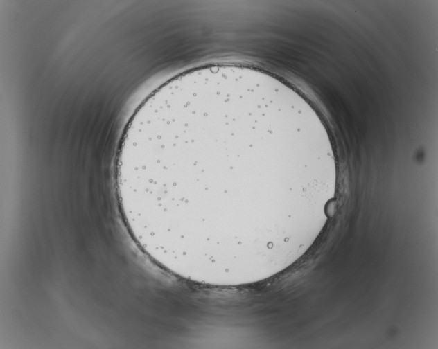 X0000115240959200912111051